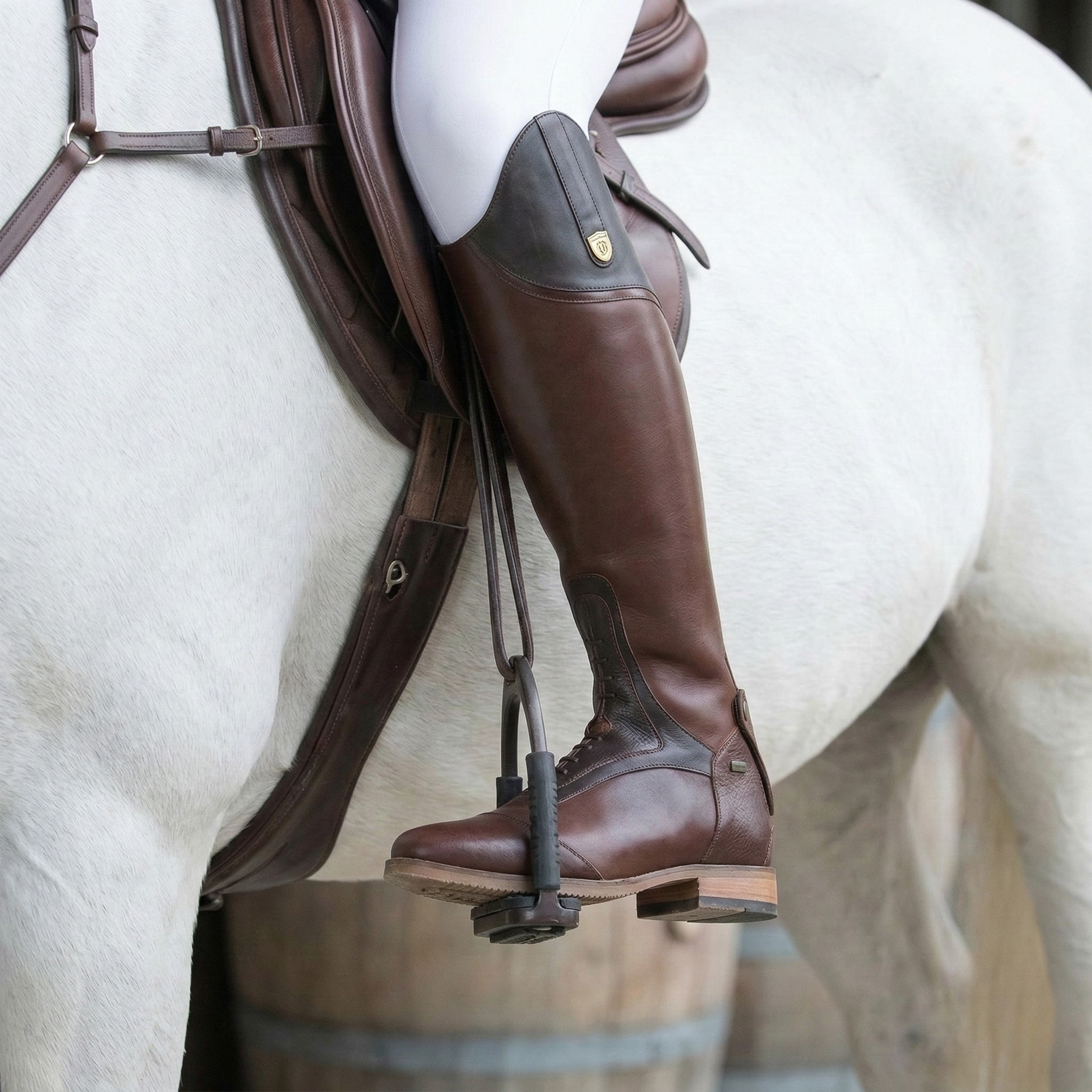 Bottes de randonnée pour femmes Mountain Horse Sovereign High Rider